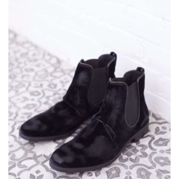 fleetwood sharpei chelsea